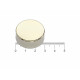 Ímã de neodímio 30x12 mm - N42